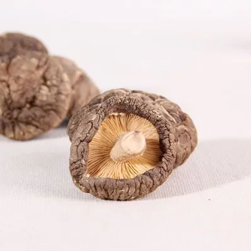 Pearl Mushroom Dried Shiitake (Lentinula edodes) — Premium Dried Mushroom for Soup & Culinary Use - Image 4