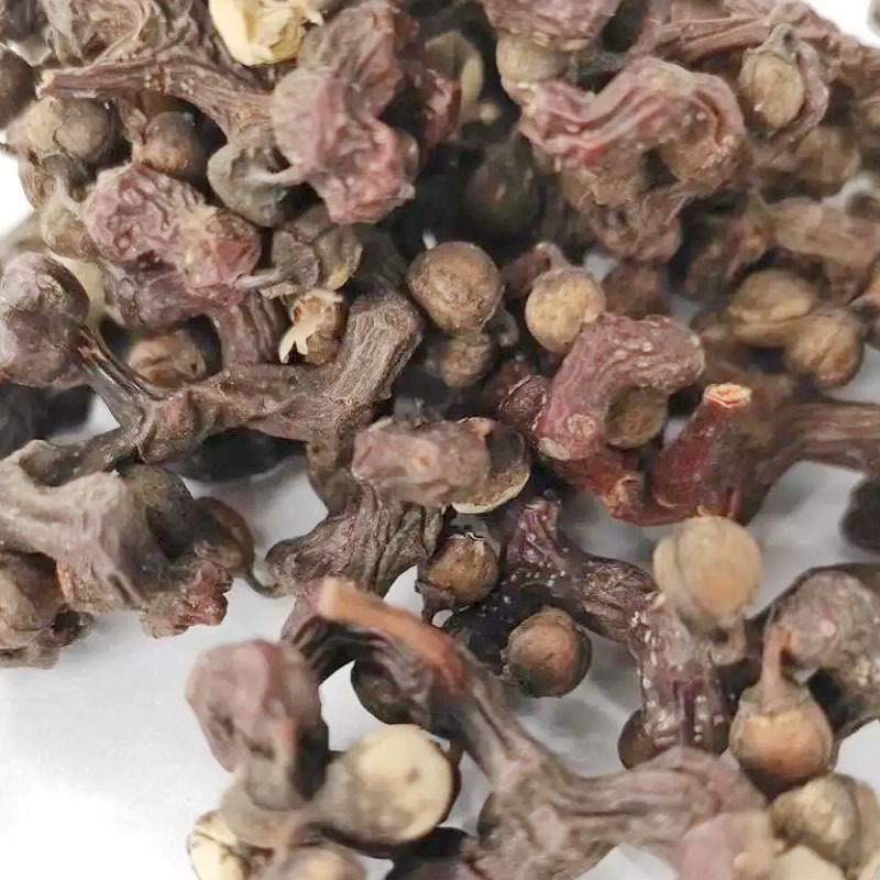 Gou Zao (Hovenia dulcis) — Dried Japanese Raisin Tree Fruit for Herbal Tea & Soup - Image 3