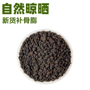 Bu Gu Zhi (Psoralea corylifolia) — Salt-Processed Food Herb, 500g