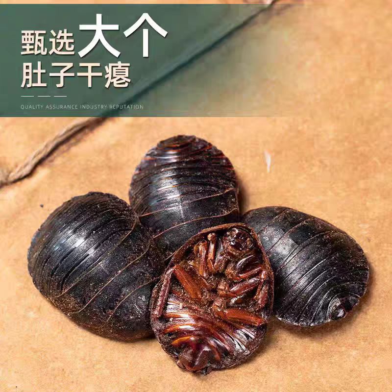 Tu Yuan (Eupolyphaga sinensis) — Dried Ground Beetle Herb, 500g Food-Grade - Image 4