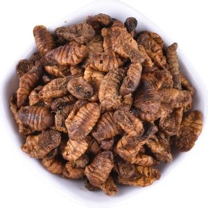 Dried Silkworm Chrysalis (Bombyx mori) — Traditional Food-Herb Ingredient, 500g