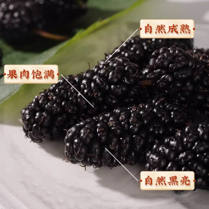 Dried Mulberry Fruit Sang Shen Zi 500g Washed Seedless Herbal Tea and Wine Ingredient - Image 4
