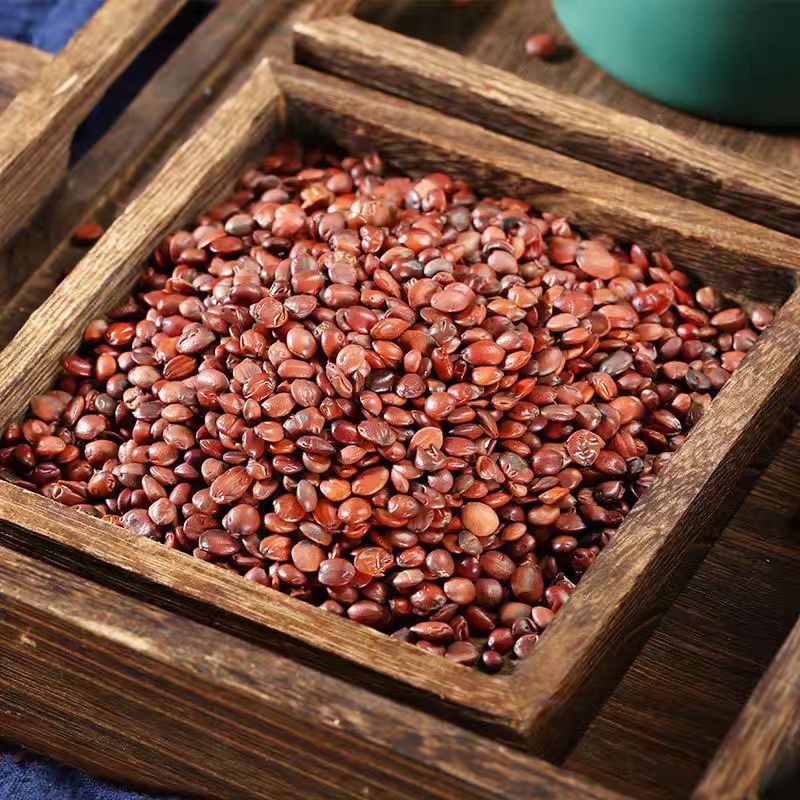 Suan Zao Ren (Ziziphus jujuba var. spinosa) — Dried Wild Jujube Seed for Tea & Soup - Image 3