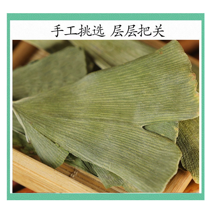 Premium Dried Ginkgo Leaf Ye Xing Ye Loose Herbal Tea 500g for Daily Infusions - Image 3