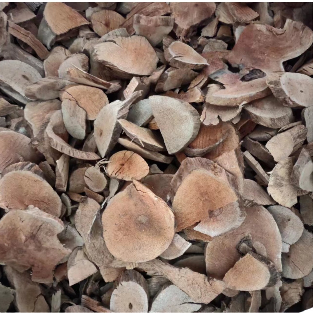 Hei Lao Hu (Kadsura coccinea) — Dried TCM Vine Root & Fruit, 500g - Image 3
