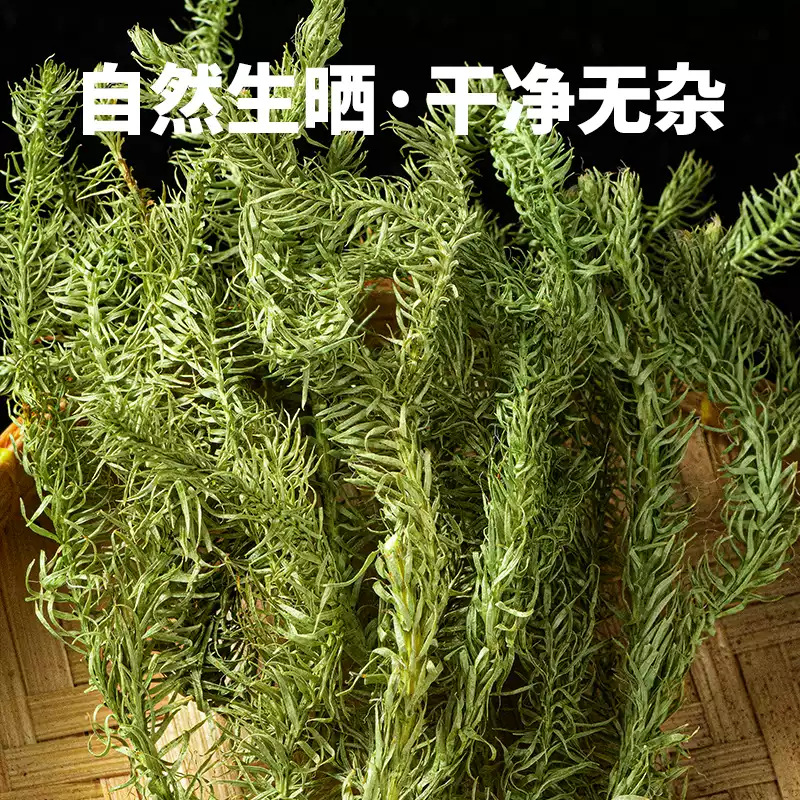 Dried Shen Jin Cao 伸筋草 Lycopodium Herb 500g Natural Sun Dried Sichuan Origin for Decoction and Foot Soak - Image 2