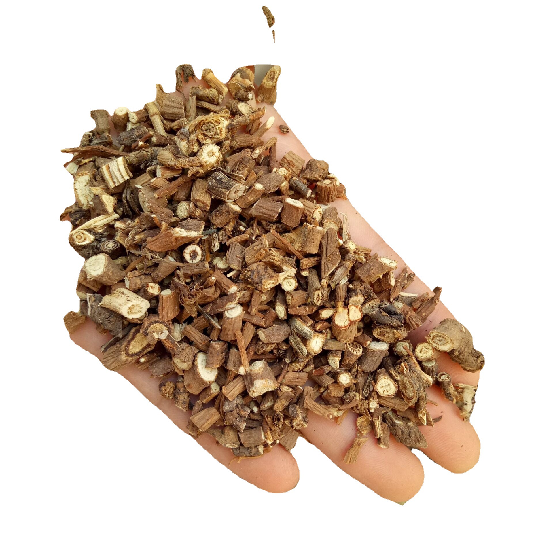 Chai Hu Bupleurum Root Slices 1 lb Dried Chinese Herbal Decoction Pieces for Traditional Herbal Cooking - Image 5