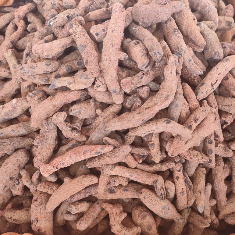 Xue San Qi (Blood Panax) — Dried Herbal Root, 250g Powder-Grade - Image 3