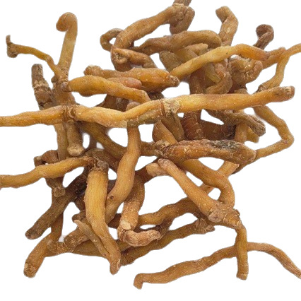 Yu Zhu (Polygonatum odoratum) Dried Rhizome Slices — Hunan Food Herb for Soup & Tea - Image 5