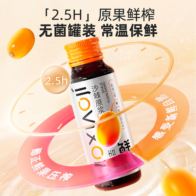 Sea Buckthorn Juice Puree 500ml Gift Box Ready to Drink Sha Ji Yuan Jiang - Image 4