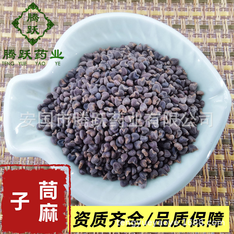 Dried Abutilon Seeds Qing Ma Zi 苘麻子 Bulk Bag 500g Traditional Chinese Herb - Image 2