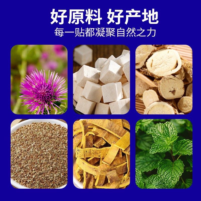 Fu Ling Ba Zhen Herbal Foot Patches 30 Patches per Box with Mugwort and Ginger for Foot Wellness - Image 4