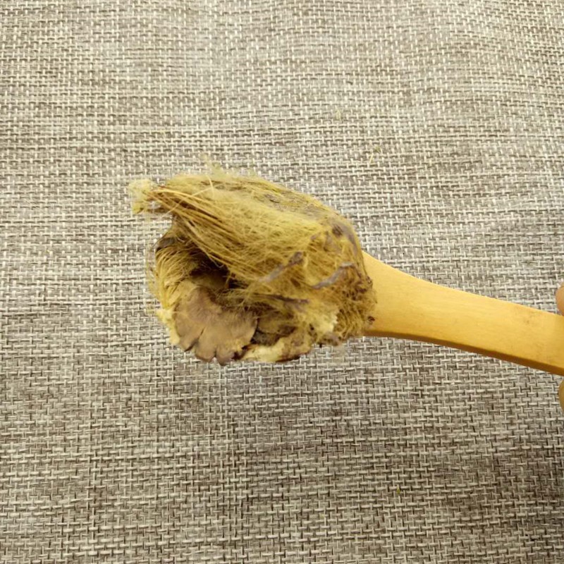 Dried Areca Peel Da Fu Pi 500g Traditional Chinese Herb for Decoction - Image 4