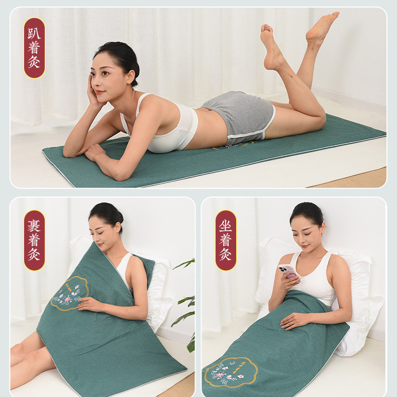 Electric Moxibustion Heating Pad with Mugwort Ai Cao Filler 9-Level Temperature Control Warm Body Mat - Image 2