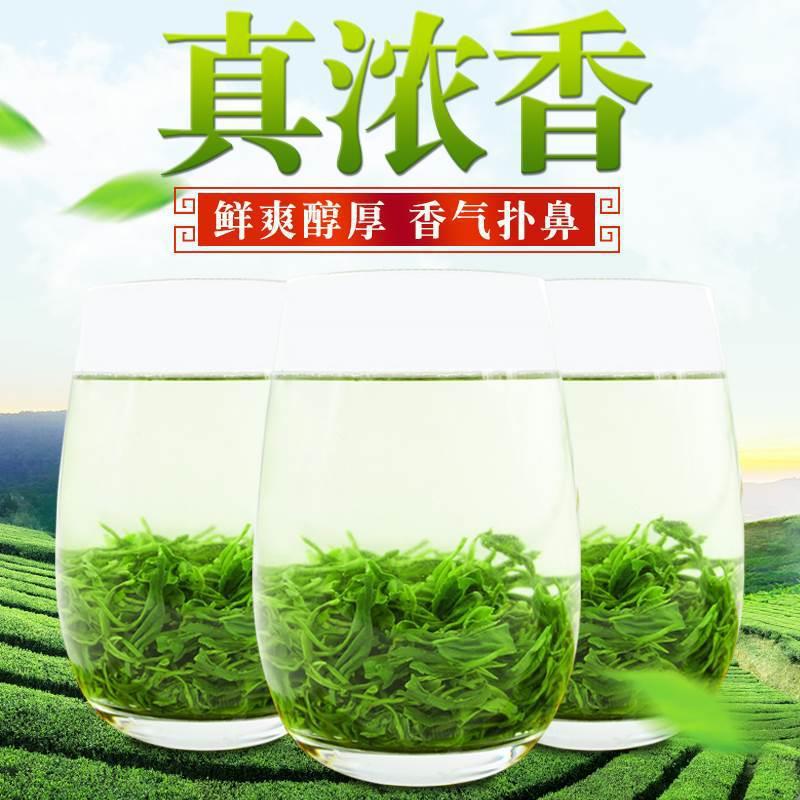 High Mountain Cloud Mist Green Tea Maojian 2024 Pre-Qingming Loose Leaf 500g - Image 2