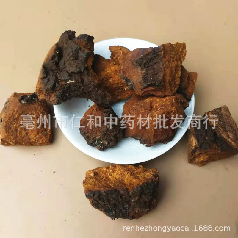 Chaga Mushroom Bulk Dried Sclerotia Huashurong Inonotus obliquus for Tea and Decoction 500g - Image 2