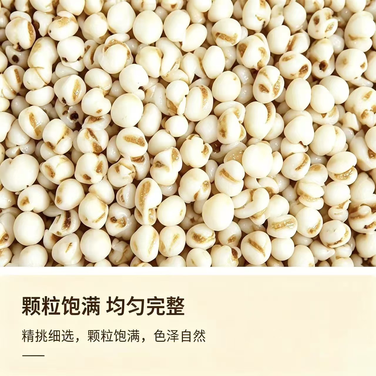 Coix Seed Yi Yi Ren 1000g Dried Job's Tears Whole Grain for Cooking and Herbal Soup - Image 2