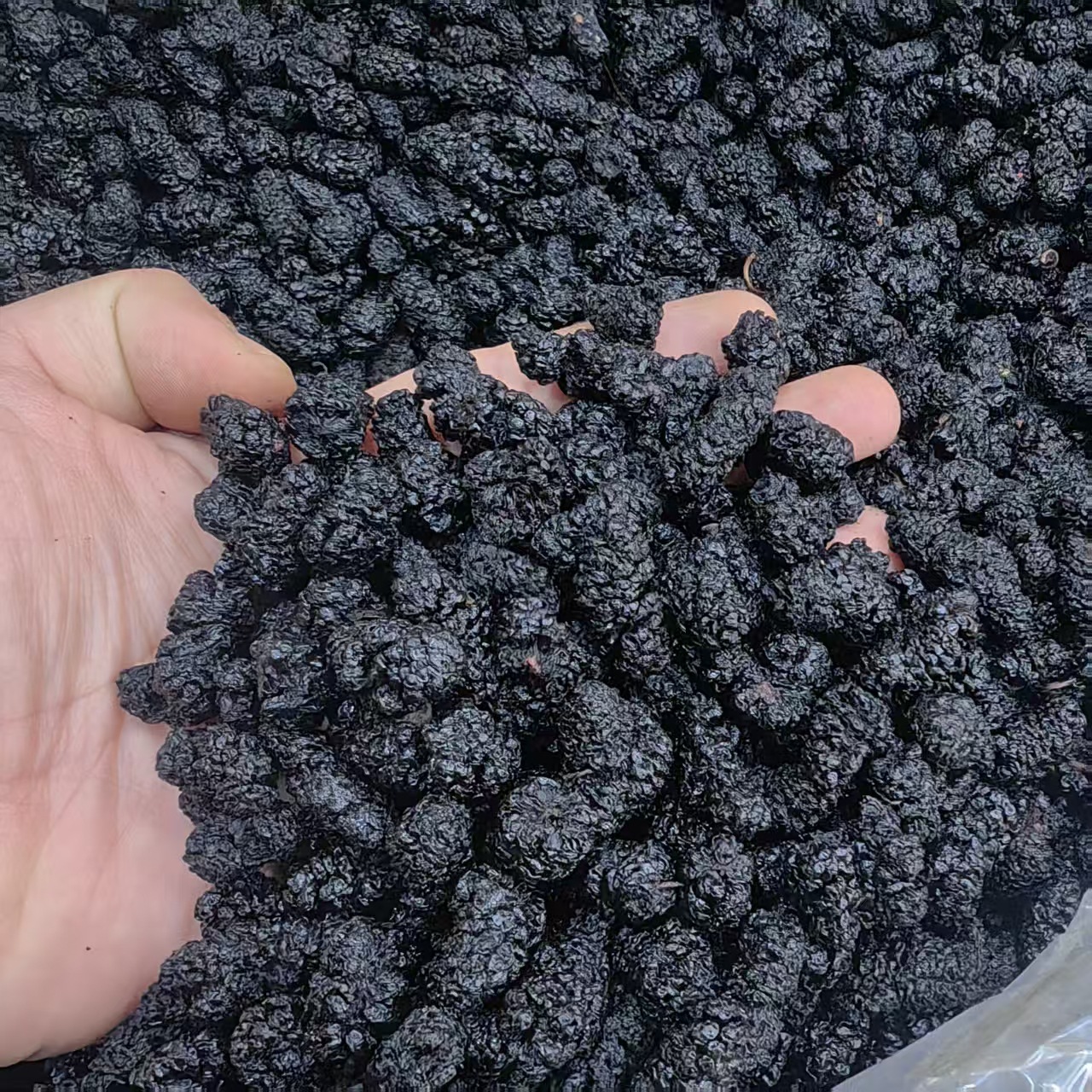 Dried Mulberry Fruit Sang Shen Zi 500g Sulfur-Free Dark Mulberries Plump Whole Berries for Tea and Culinary Use - Image 2