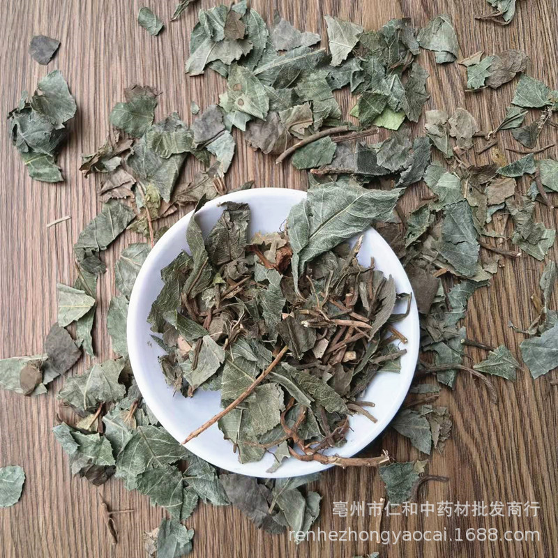 Dried Ai Di Tea Herb Ardisia Japonica Whole Herb Traditional TCM Decoction Herb Bulk Supply - Image 3