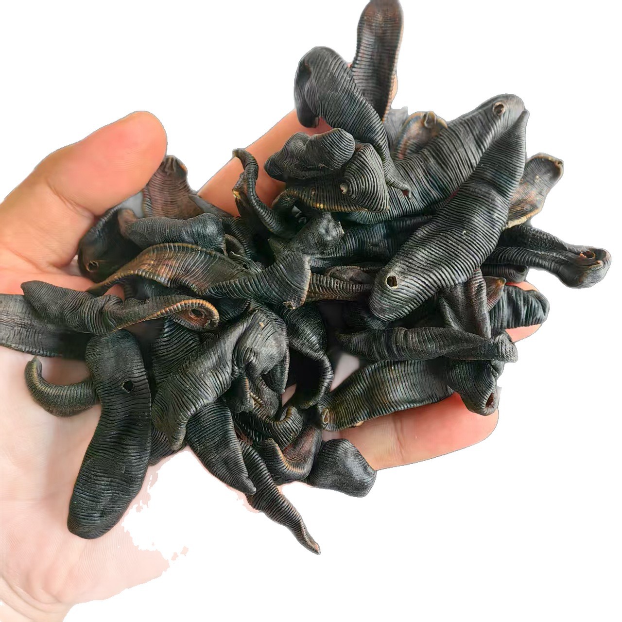 Dried Leech Shui Zhi 水蛭 Whole Dried Medicinal Herb 500g Traditional TCM Ingredient - Image 5
