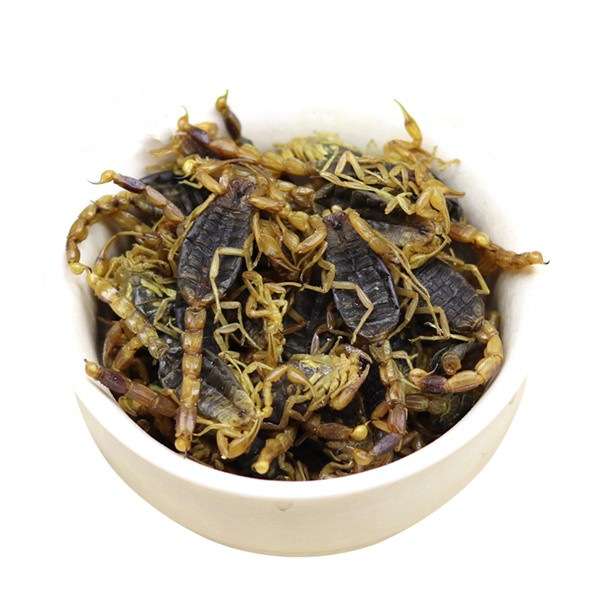 Whole Scorpion Quan Xie Dried TCM Herb 500g Natural Sun-Dried Shandong Origin - Image 4