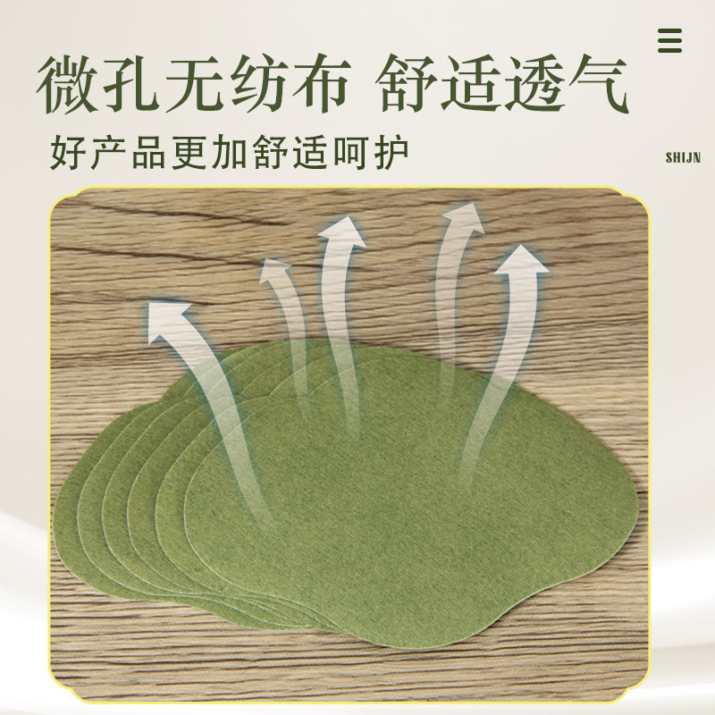 Moxa Waist Patch Herbal Warm Compress 12 Patches per Box for Waist Area - Image 3