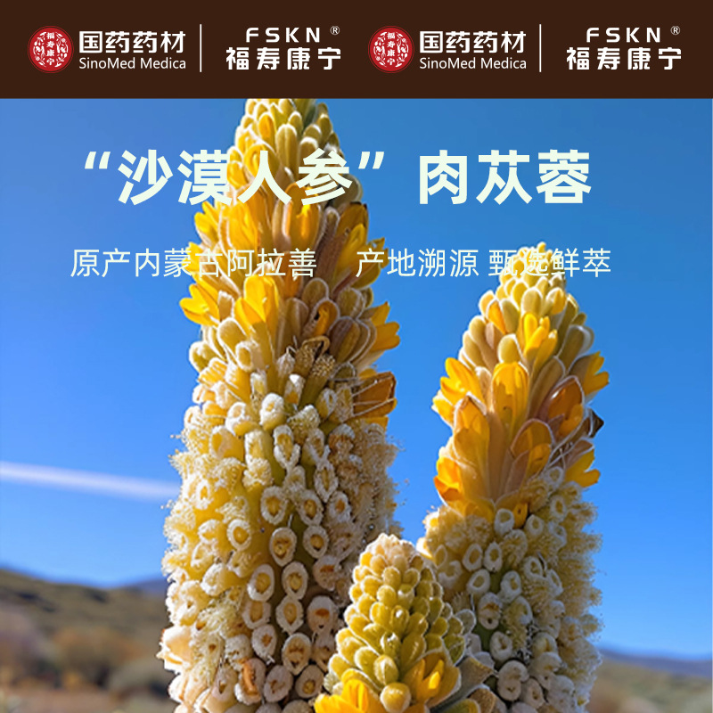 Cistanche Deserticola Oral Liquid Concentrate Gift Box 30ml x 10 Bottles Inner Mongolia Desert Gold - Image 3