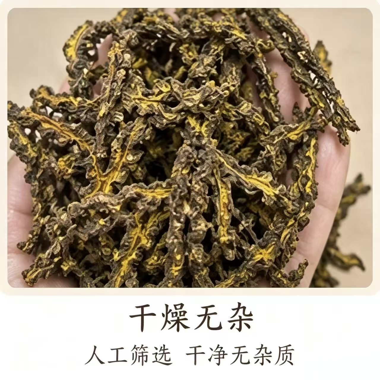Sichuan Coptis Root Huang Lian Dried Chinese Herb Clean Raw Material 1000g Bag - Image 4