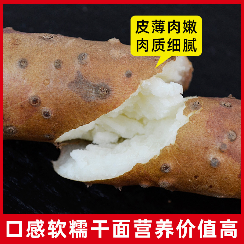 Fresh Chinese Yam Tiegun Shan Yao Wenxian Iron Stick Yam 3kg Gift Box - Image 4