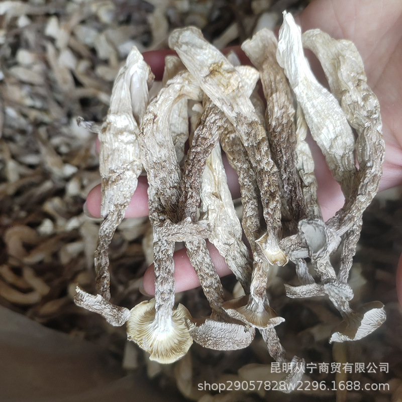 Dried Deer Antler Mushroom 500g Premium Edible Fungus for Soup and Stir Fry - Image 3