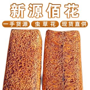 Cordyceps Flower (Cordyceps militaris) — Dried Food Herb Mushroom for Soup & Tea, 500g