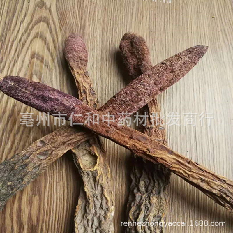Dried Suo Yang Cynomorium Slices Whole Herb Tonic Herbal Tea and Decoction Ingredient - Image 3