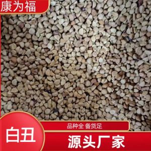 Bai Chou / Qian Niu Zi (Pharbitis nil) — Dried Morning Glory Seed, Food Herb 500g