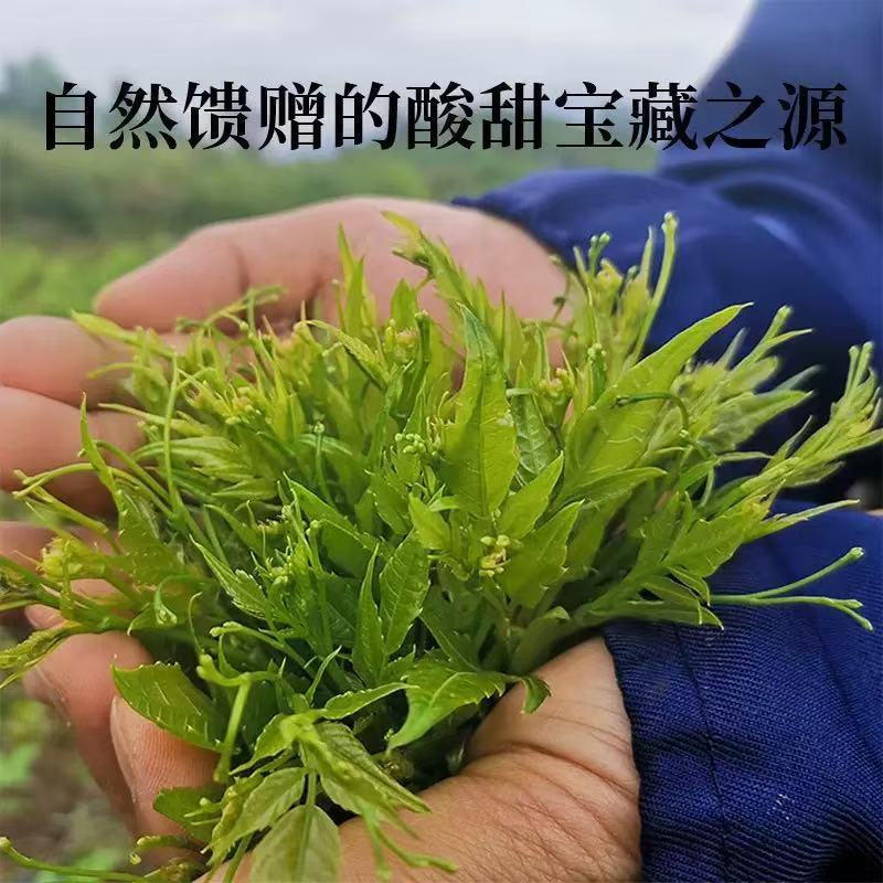 Mei Tea Mei Cha Vine Tea Loose Herbal Tea 20g Canister Traditional Wellness Brew - Image 3