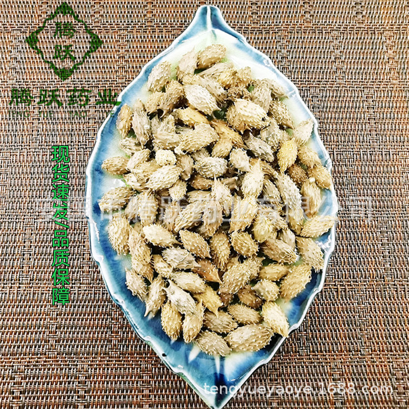 Cang Er Zi Dried Xanthium Fruit Whole Form Traditional Chinese Herb 500g Bag - Image 3
