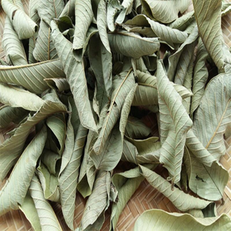 Guava Leaf Tea 500g Dried Psidium Guajava Leaves Natural Sun Dried Herbal Tea - Image 2