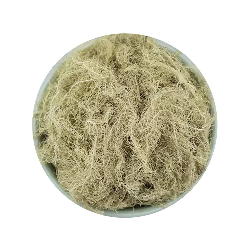 Yun Wu Cao (Usnea longissima) — Dried Old Man's Beard Lichen, 500g Food Herb - Image 5