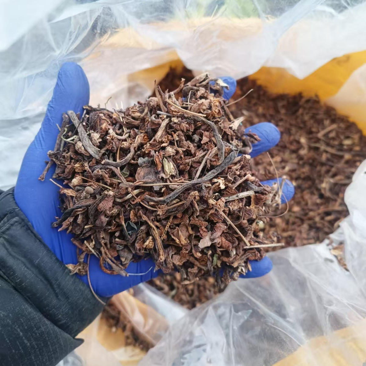 Dried Hazel Mushroom Pieces for Soup 500g Jilin Origin Umami Broth Ingredient - Image 4