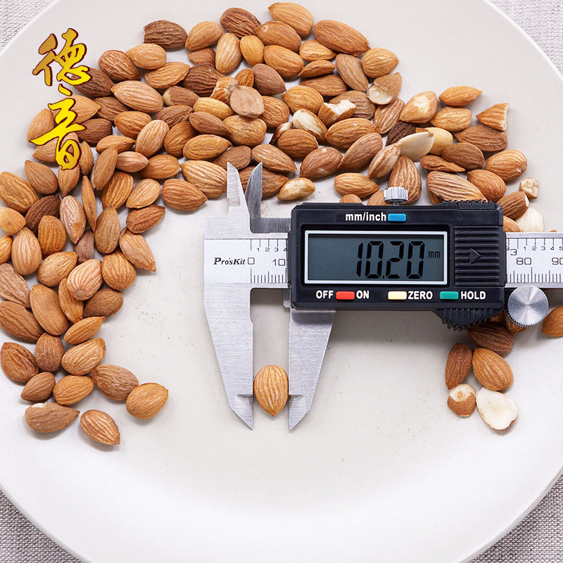Dried Mountain Peach Kernel Shan Tao Ren 500g Selected Gansu Raw Herb for Decoction and Culinary Use - Image 2