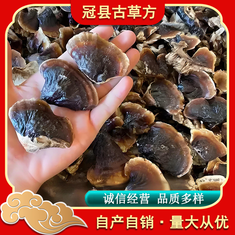 Small Gold-Banded Reishi Mushroom Dried Lingzhi Slices for Soup and Tea 500g - Image 2