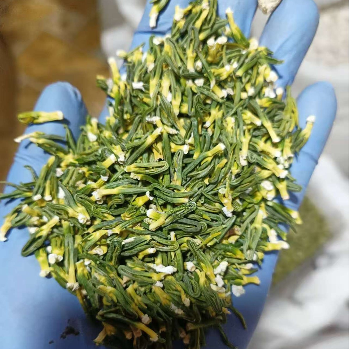 Dried Lotus Plumule Lian Zi Xin 500g Herbal Tea Ingredient for Traditional Decoctions - Image 4