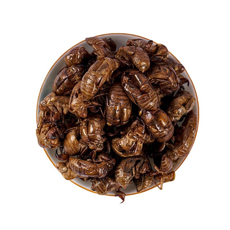 Chan Tui (Cicada Slough) — Washed Dried Cicada Molt for TCM Tea & Decoction - Image 5