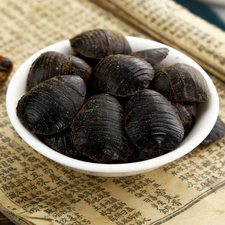 Dried Ground Beetle Tu Yuan 土鳖虫 Whole Insect TCM Herb 500g Selected Large Size - Image 2