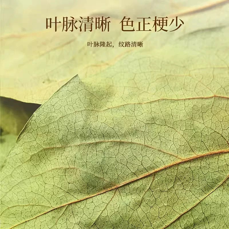 Wild Persimmon Leaf Tea Shi Ye 柿叶 Dried Herbal Tea Leaves 1600g Canister Frost Harvested Loose Bulk - Image 4