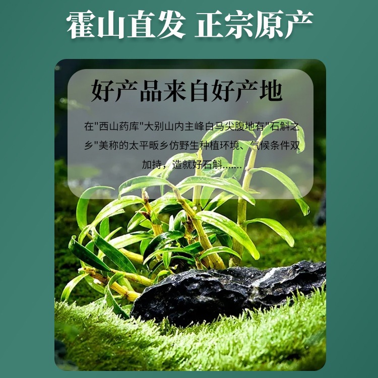 Tie Pi Shi Hu Fengdou Dendrobium Officinale Stems 500g Bottle Dried Herb for Tea and Cooking - Image 2
