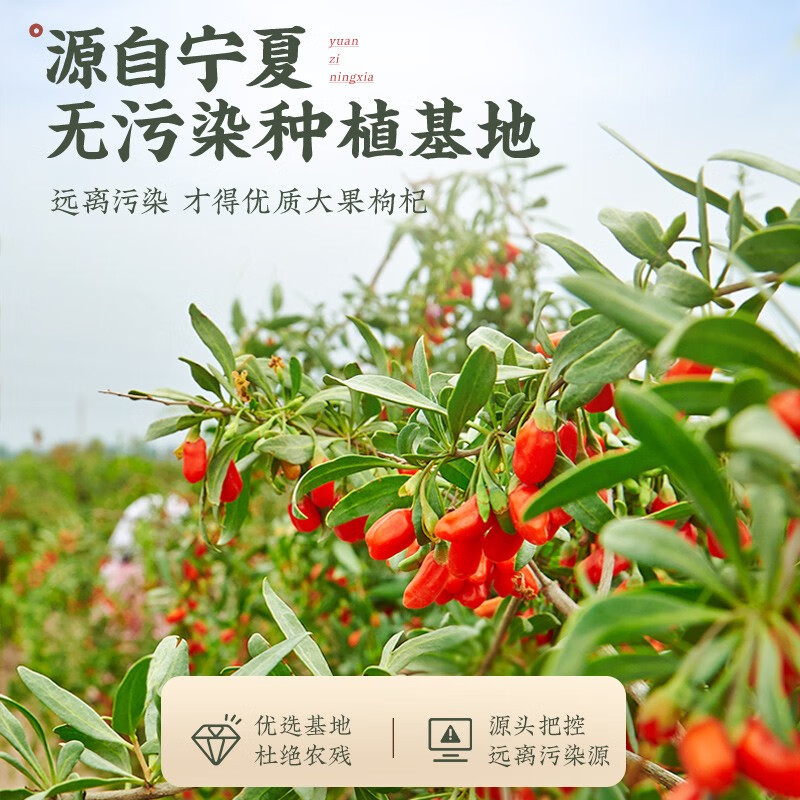 Ningxia Premium Goji Berries Gou Qi Zi Dried Red Wolfberry Fruit 500g - Image 2