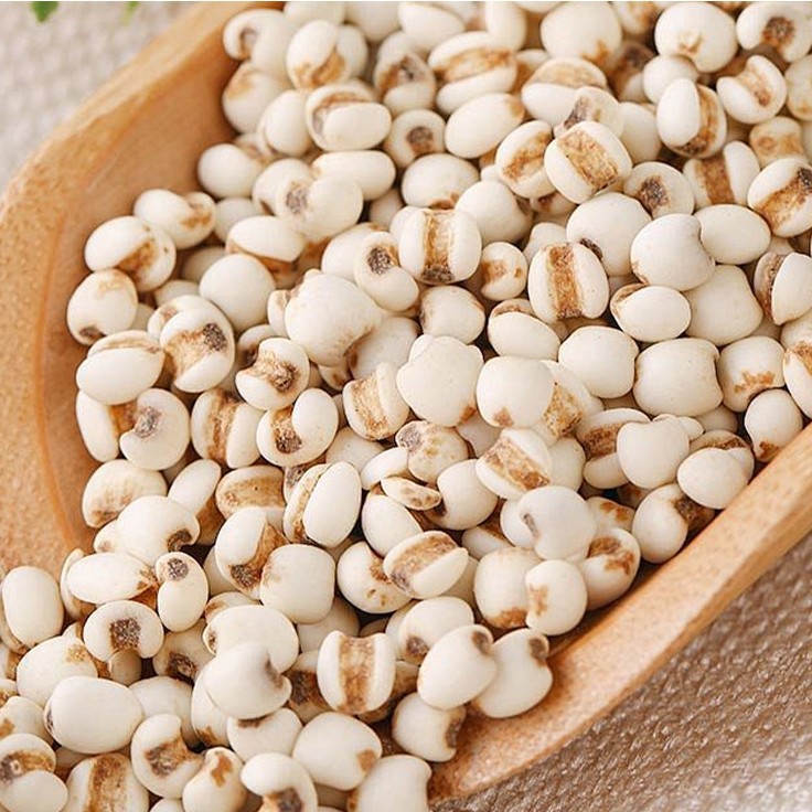 Dried Coix Seed 500g Yi Mi Ren Job's Tears Grain for Soup and Congee - Image 4
