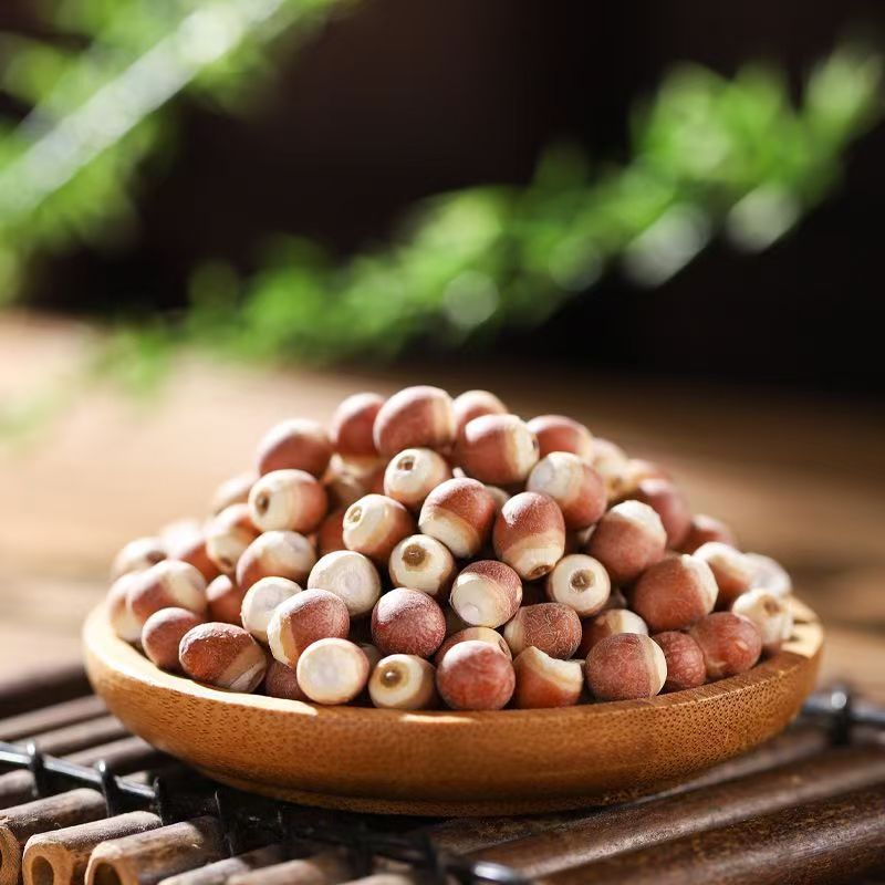 Dried Gorgon Fruit Qian Shi Euryale Ferox Seeds 100g Bottle for Soup Congee and Herbal Tea - Image 3