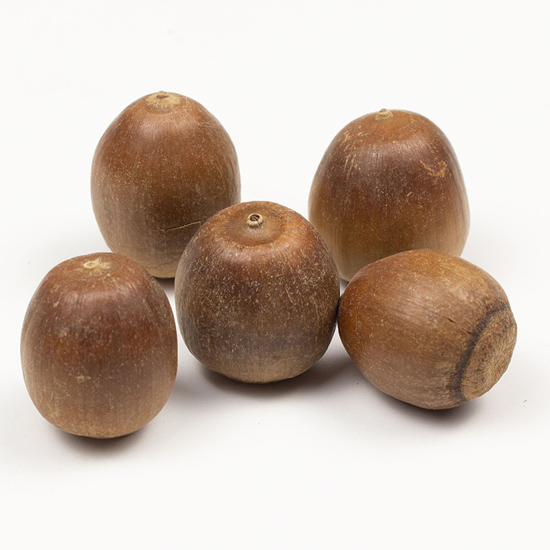 Dried Acorn Kernels Xiangzi Whole Form Natural Craft and Food Ingredient 500g - Image 2