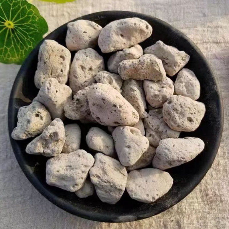 Hai Fu Shi (Pumice / Costazia aculeata) — Dried Mineral Herb for TCM Decoction - Image 2